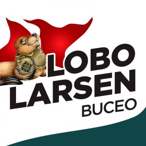 Lobo Larsen Buceo